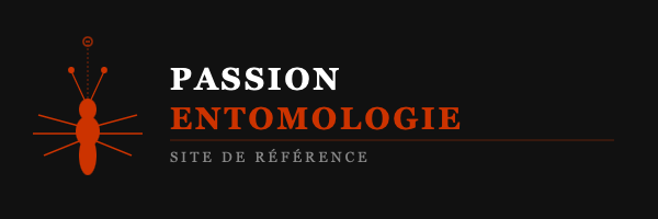Passion Entomologie
